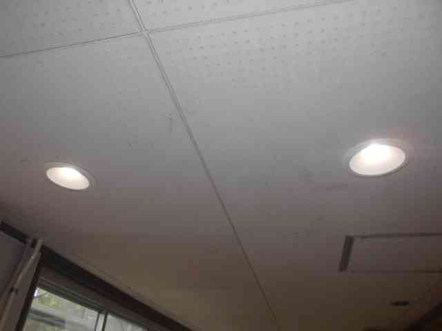 DSCN0208