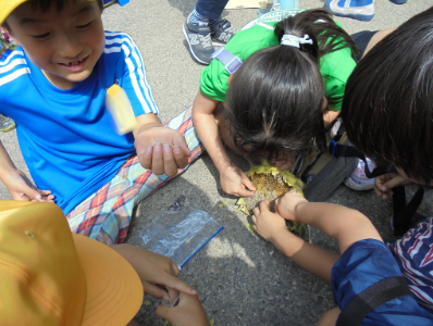 写真　５
